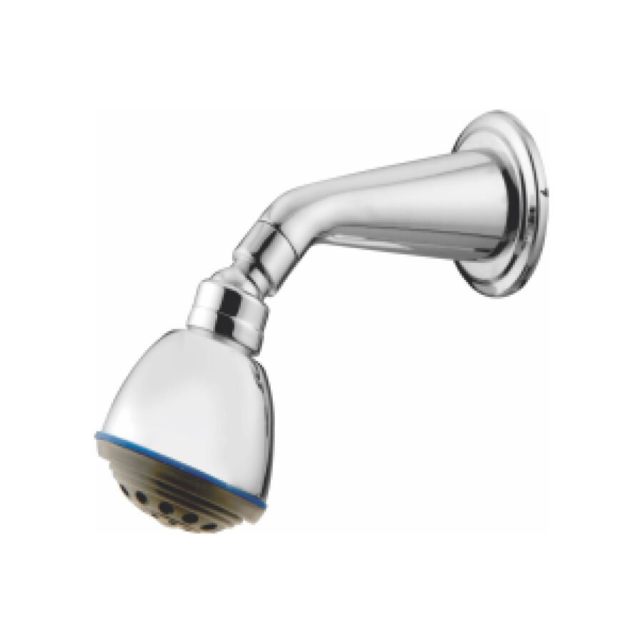 Flora Standard Overhead Shower with Brass Shower Arm (6 inches)