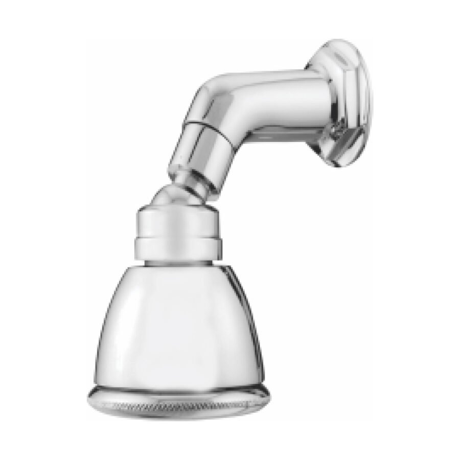 Maharaja Standard Overhead Shower with Brass Shower Arm (6 inches)